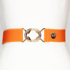 Orange elastic belt with 1.5" gold interlocking buckle by KF Clothing